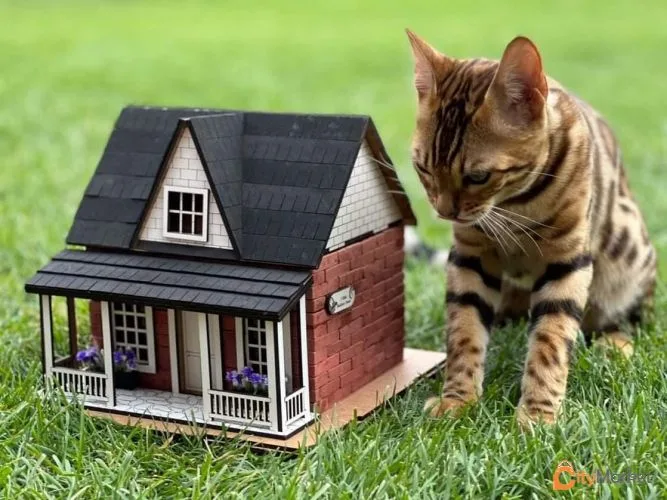 Photo 6 of 3D constructor to build a miniature building