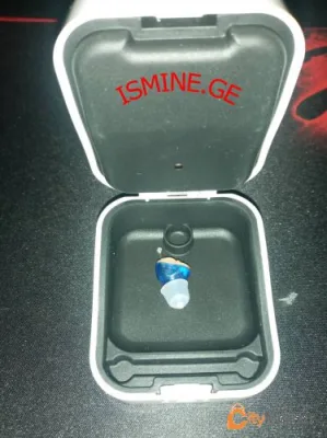 hearing aid