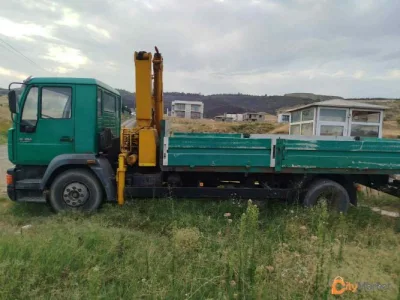 Crane manipulator for rent