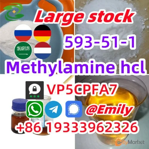Фото 2 — Метиламин гидрохлорид cas 593-51-1 Метиламин hcl