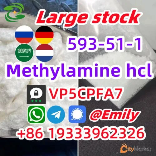 Фото 3 — Метиламин гидрохлорид cas 593-51-1 Метиламин hcl