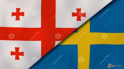 Swedish translator