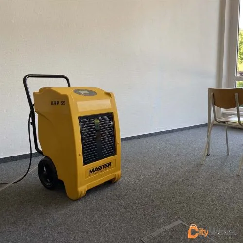 Photo 4 of Dehumidifier for rent 45 liter dehumidifier