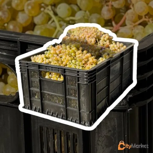 Photo 7 of plastic boxes