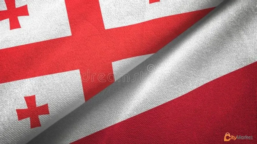 Photo 1 of Polish translator