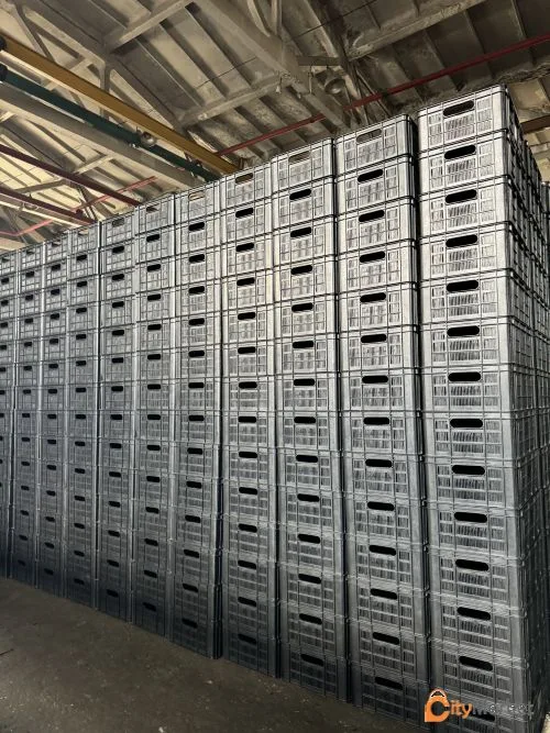 Photo 7 of Plastic agro-container (for fruits and vegetables)