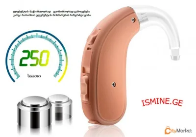 hearing aid