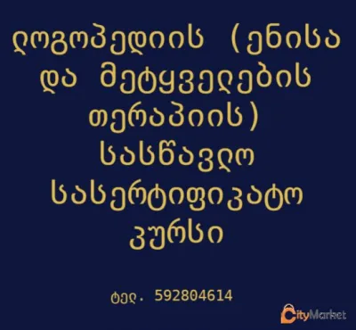 Certificate Course in Speech Therapy