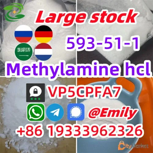 Фото 4 — Метиламин гидрохлорид cas 593-51-1 Метиламин hcl