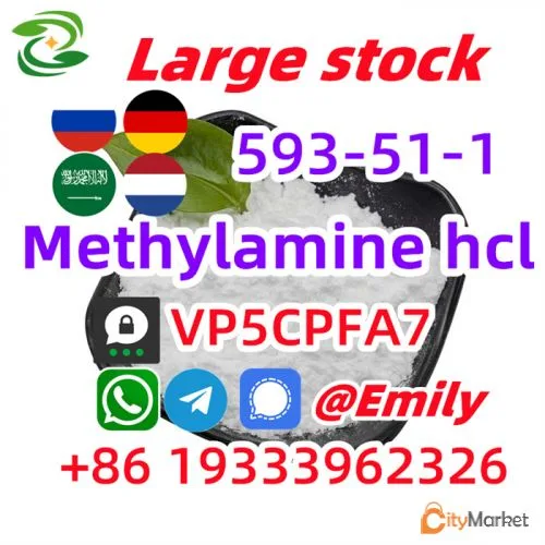 Фото 5 — Метиламин гидрохлорид cas 593-51-1 Метиламин hcl