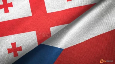 Czech translator