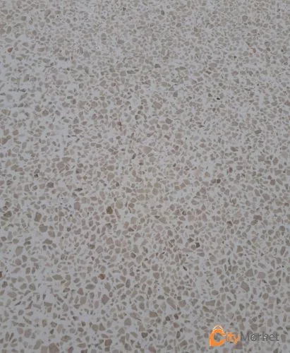 Photo 6 of Laying the mosaic